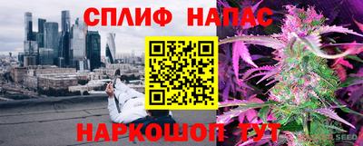Альфа ПВП Гатчина