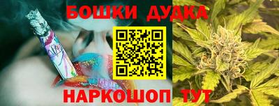 Альфа ПВП Гатчина