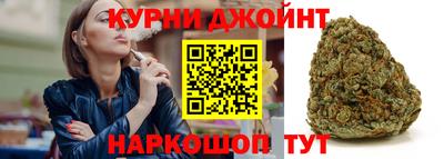 Альфа ПВП Гатчина