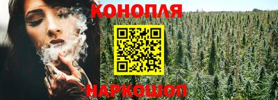 гидра Гай